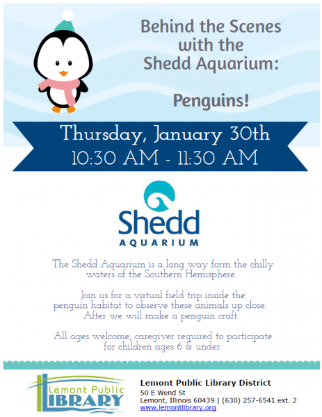 Image for event: Behind the Scenes with the Shedd Aquarium: